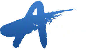 Access Inc.